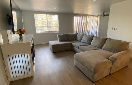 Sherman Oaks Apartment | The Modern Nest