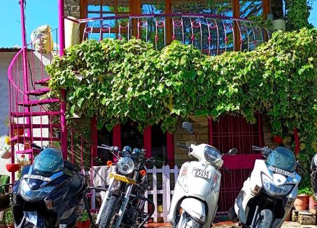 Nainital House | The Money Plant House
