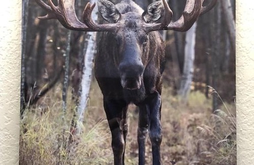 Sand Lake Apartment | The Moose Crossing