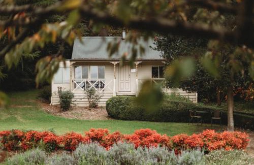 The Patch Cabin | The Mountain View Cottage