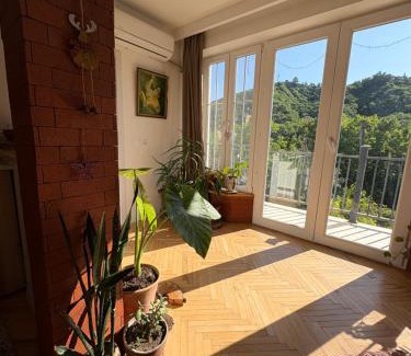 Sighnaghi Apartment | The nature