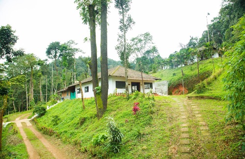 Madikeri Cabin | The Nest Bettathur Coorg 005