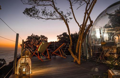 Storms River Other | The Ocean Dome - Misty Mountain Reserve