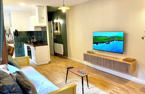 Albi Apartment | The old bridge nest