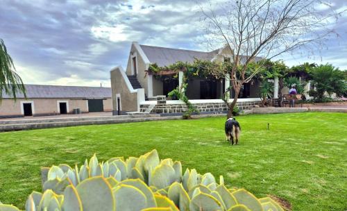 Beaufort West House | The Old Farmhouse - Farm Stay