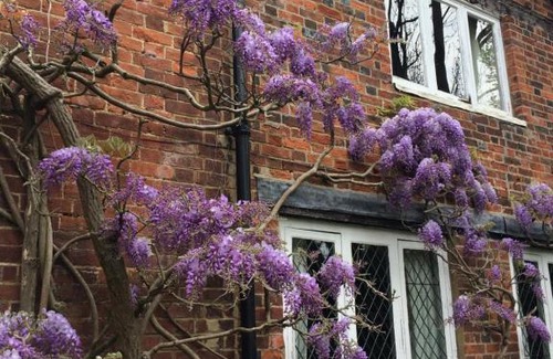 Fifield Bed & Breakfast | The Old Farmhouse