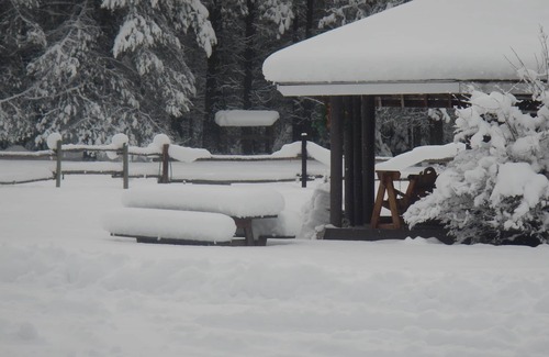 Trout Creek Cabin | "The Old Homestead" An Original Homestead Cabin