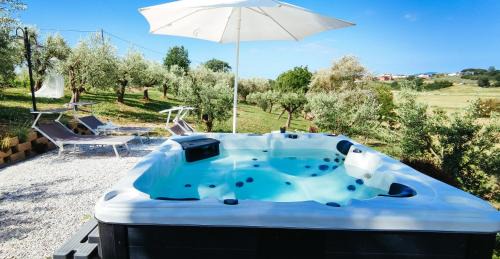 Lamporecchio House | The Olive Grove in Tuscany