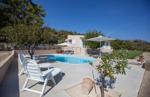 Theologos Villa | The Olive Grove Villa Private Pool with star links WiFi