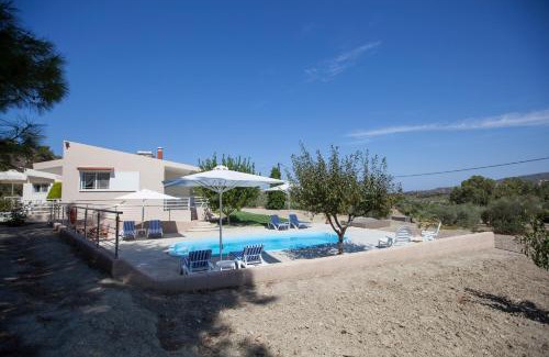 Theologos Villa | The Olive Grove Villa Private Pool with star links WiFi