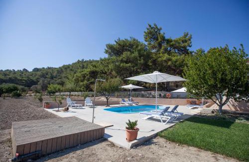 Theologos Villa | The Olive Grove Villa Private Pool with star links WiFi