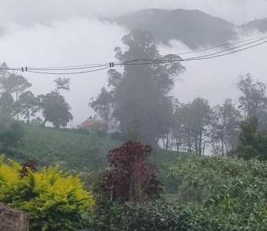 Kotagiri Villa | The Orange Home