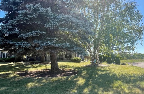 Historic Old Town House | The Orchard House, 3 bedroom house in NOTL
