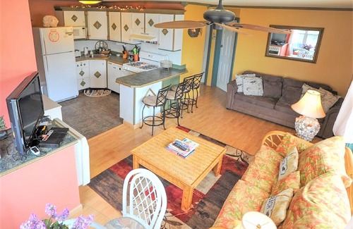 Dewey Beach Apartment | The Original Best Kept Secret in Dewey Beach Since 2001 Dog Friendly Ocean View