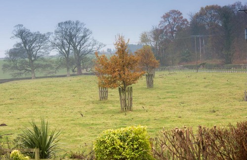 Chathill Hotel | The Pack Horse Inn
