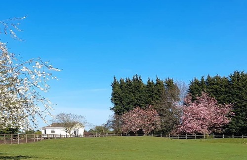 Frettenham House | The Paddocks - a bungalow situated in a rural village surrounded by fields and horses