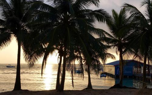 San Pedro Hotel | The Palapa House