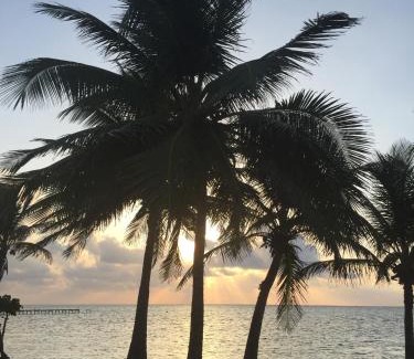 San Pedro Hotel | The Palapa House