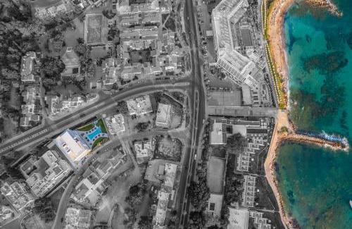 Paphos Apartment | The Palmiers
