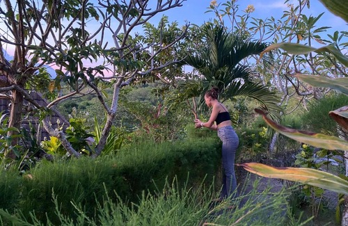 Penida Island Resort | The Pancor Jungle Resort