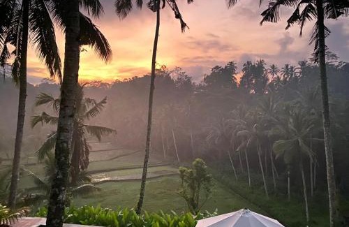 Tegallalang Villa | The Papas Villas