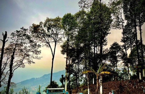 Tukdah Forest House | THE PARADISE PALM HOMESTAY