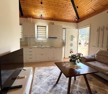 Berat Apartment | The Parkside Villa Apartment II