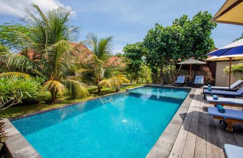 Mushroom Bay Hotel | The Parnas