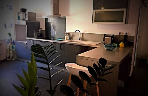 Carcassonne Apartment | "The patio Maria" At the foot of the city, apartment with interior patio.