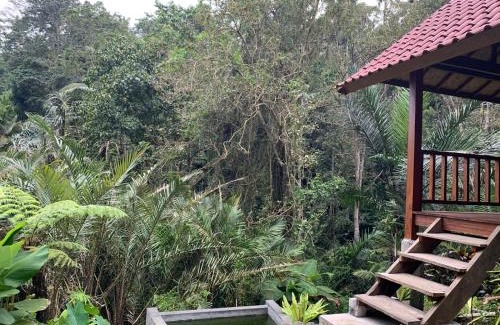 Bebandem House | The Payung House