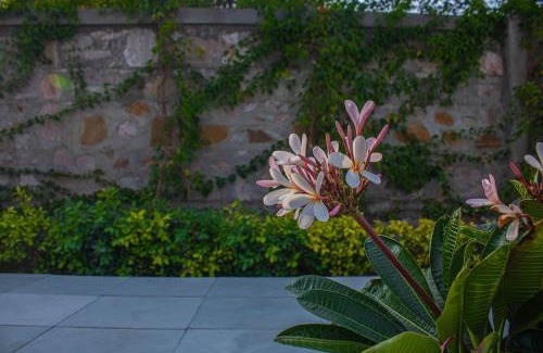 Jaipur House | The Peace- A Luxury 2BHK Private Pool Farm