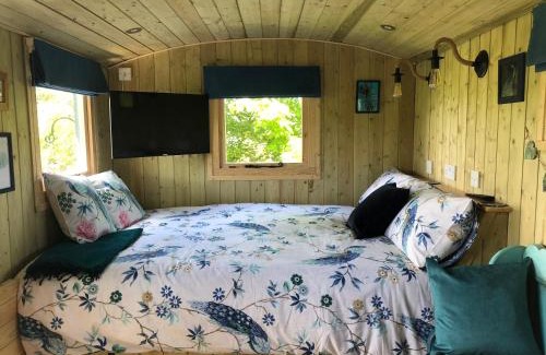 Corwen House | The Peacock Shepherds Hut at Hafoty Boeth