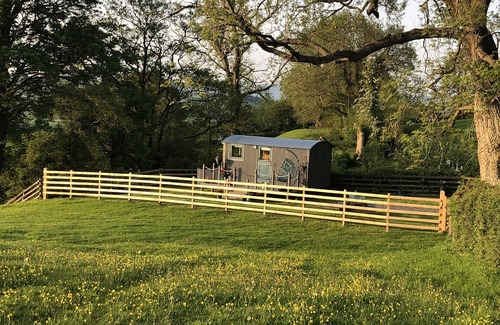 Corwen Cabin | The Peacock Shepherds Hut at Hafoty Boeth