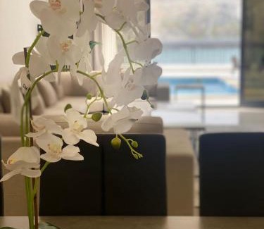 Sharm Villa | The Pearl Villa - Swimming Pool with Sea and Mountain view - Al Dana Island Fujaira