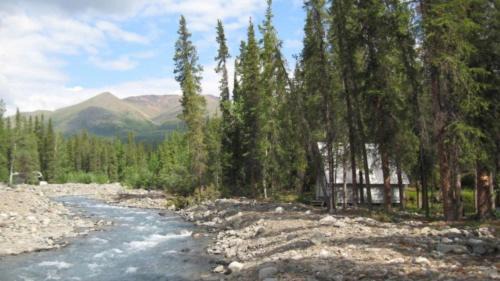 McKinley Park Cabin | The Perch Resort