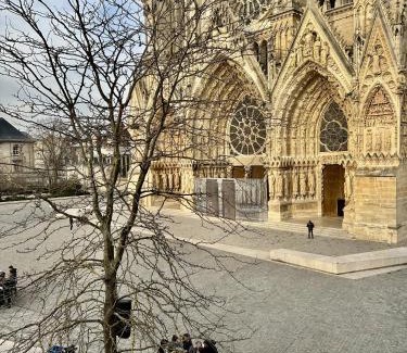 Reims City Centre Apartment | The Peregrines Nest