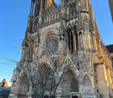 Reims City Centre Apartment | The Peregrines Nest