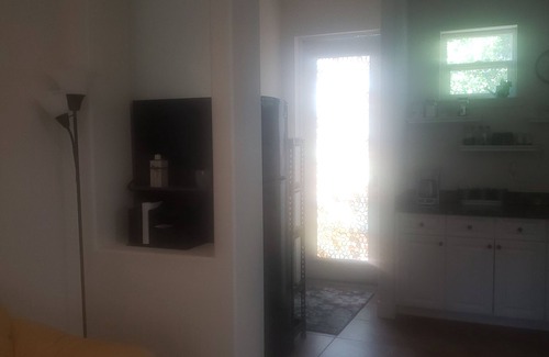 Gillespie Park Apartment | The Perfect Apartment to Explore Downtown