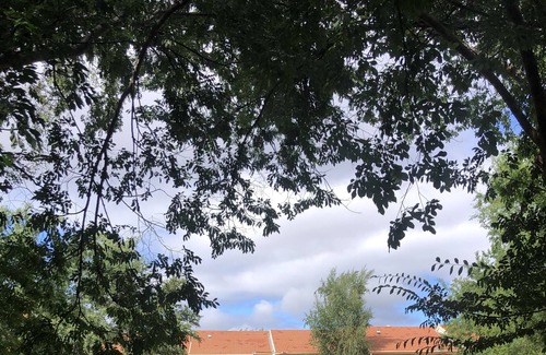 Narrabundah House | The perfect Pet safe getaway with pool