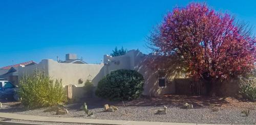 Mesilla Park House | The perfect place . . . here it is!