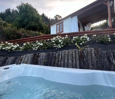 Havelock House | The Petite Suite