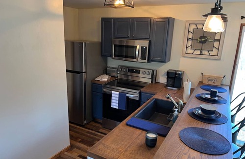 Chester Apartment | The Piedmont Cabin - LPM