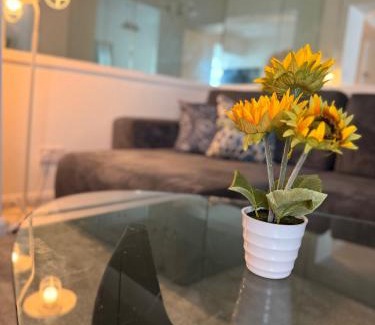 Haverstock Apartment | The Pink House
