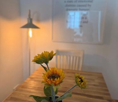 Haverstock Apartment | The Pink House