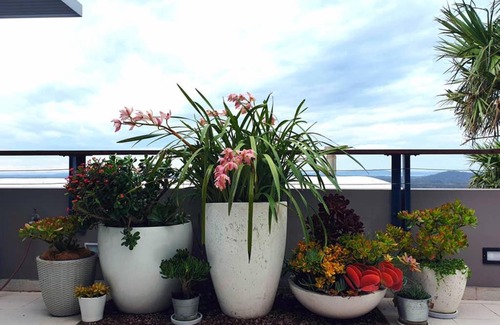 Boat Harbour Villa | 'The Pinnacle' at One Mile
