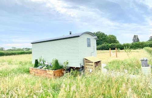 Hever House | The place to bee.