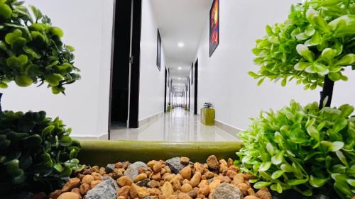 Kalapettai House | The Plaza - 100 feet Road, Near Indira Gandhi Statue, Pondicherry - JR Groups