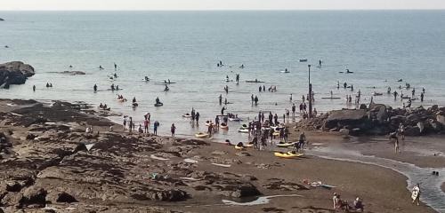 Combe Martin Bed & Breakfast | The Poplars Guest House