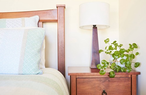 Rye Hotel | The Potters Garden Cabin
