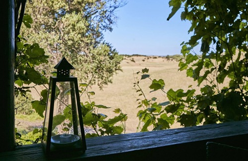 Rye Hotel | The Potters Garden Cabin